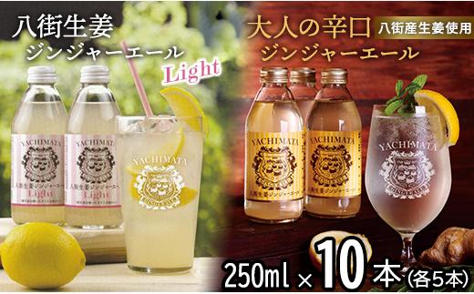 八街生姜ジンジャーエールLIGHT ＋八街生姜ジンジャーエール　計10本セット ジンジャーエール 生姜 八街 ジュース ジンジャー 瓶 ビン セット 辛口 定期便 ギフト 辛口 濃厚 飲料 炭酸 炭酸飲料 生姜 国産 贈答用 千葉