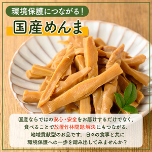 i1066 鹿児島めんま 出汁?油 四川山椒 セット(100g×2種) めんま 出汁 醤油 四川山椒 山椒 国産 九州 常温 味付き 味付け おつまみ おかず ごはんのお供 晩酌 ピリ辛 ラーメン 具