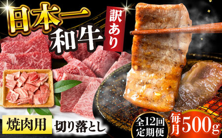【12回定期便】【訳あり】 A4-A5 長崎和牛 焼肉切り落とし 500g(肩ロース/バラ)  [DBS044] 訳アリ 牛肉