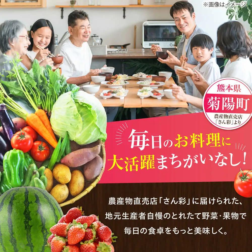 全6回定期便 菊陽町特産品 「 野菜 ・ 果物 などの詰め合わせ」 野菜 果物 BHAK008