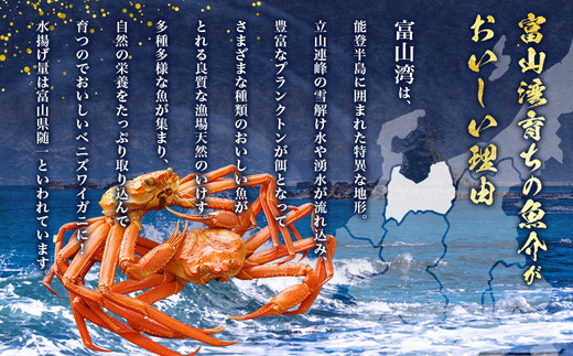 【冷凍】 魚卸問屋の紅ズワイガニ むき身 バラ身 400g ※北海道、沖縄、離島配送不可 ※2025年9月下旬～2026年5月中旬頃発送予定