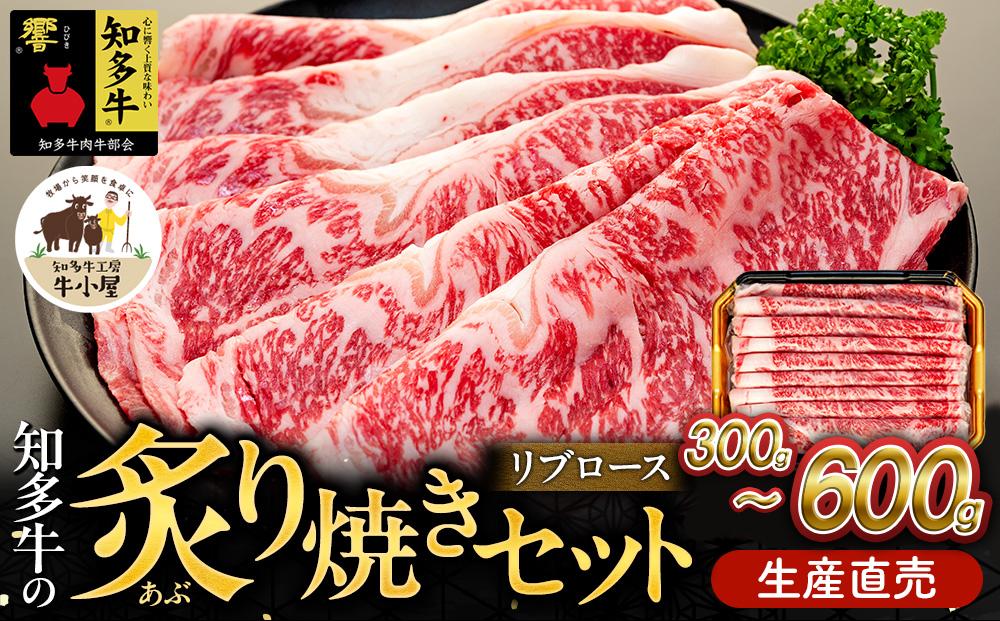 
            容量選べる 知多牛 響 リブロース 炙り焼き セット 300g 600g 冷凍 焼肉 生産直売 知多牛響 牛肉 国産牛 牛 にく 国産 牛肉 ぎゅうにく お肉 贅沢 焼肉用 ご褒美 ギフト 肉 ロース肉 牛ロース プレゼント ロース 牛肉 牛ロース ふるさと納税にく ふるさと納税牛肉 ふるさと納税ロース ふるさと納税牛ロース 焼き肉 やきにく 知多牛工房牛小屋 おすすめ 人気 愛知県 南知多町
          
