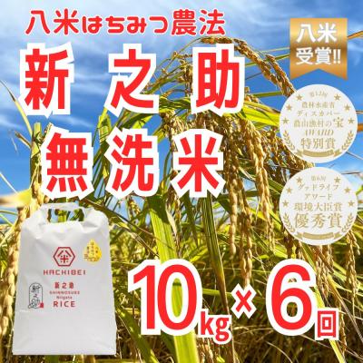 ふるさと納税 阿賀野市 【令和8年産新米先行受付】6ヶ月定期便 八米 はちみつ農法 新之助 無洗米 10kg×6回