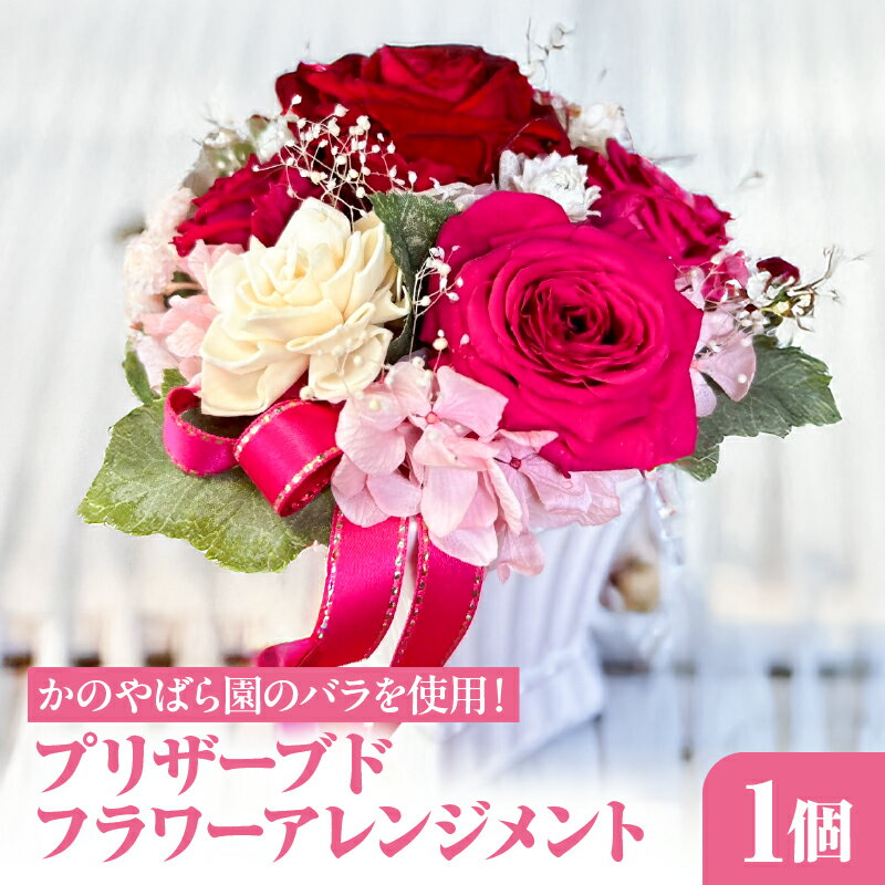 【ふるさと納税】プリザーブドフラワーアレンジメント 花 フラワー 薔薇 バラ ローズ 生花 かのやばら園 プリザーブドフラワー アレンジ 制作 製作 手作り NPO法人ローズリングかのや ふるさと納税 鹿児島 鹿屋市 おすすめ ランキング プレゼント ギフト