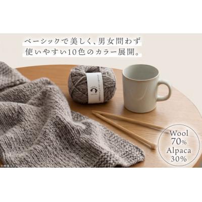 ふるさと納税 江南市 あみもねっと アルパカ天然色並太 10番色 10玉セット |  | 01