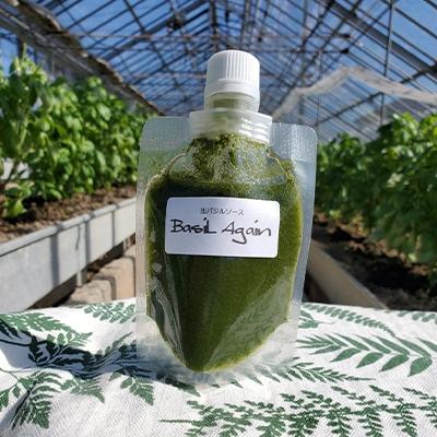 ふるさと納税 袋井市 バジルソース「Basil Again」1パック(130g)
