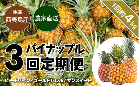 【（全3回発送）】南国の美味しさを！パイナップル 定期便 B