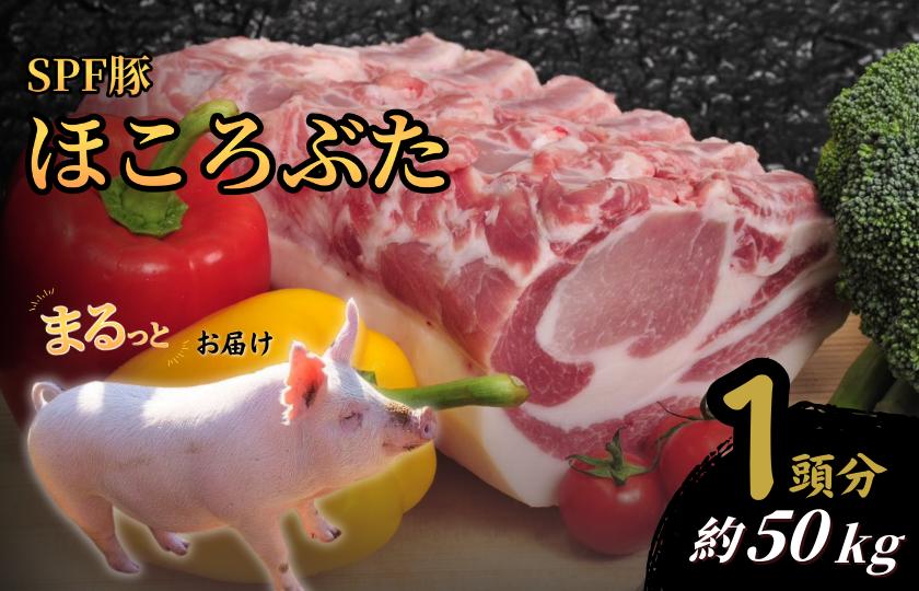 
            1頭分お届け　千葉県産 下山農場 SPF豚 「 ほころぶた 」 ／ SPF豚 豚肉 ほころぶた 1頭分 バラ ロース 肩ロース ヒレ うで もも
          