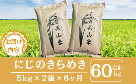 【定期便6回】令和7年産 にじのきらめき 10kg 美山町産 こと美山米