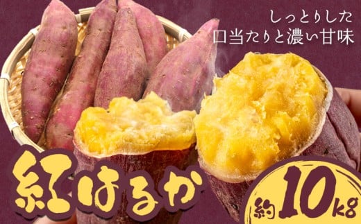 【先行予約】さつまいも 紅はるか 約10kg 株式会社シグマサポート《2026年10月中旬-12月中旬頃出荷予定(土日祝除く)》送料無料 サツマイモ 三重県 東員町 お菓子 おやつ 紅はるか やきいも さつまいも 手軽