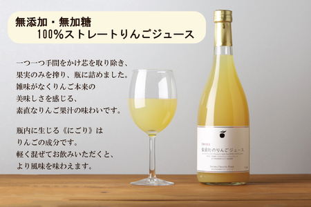 AL055-1　無添加無加糖　紫波町のりんごジュース２本セット