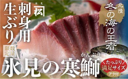 ＜先行予約＞ 【魚問屋直送】天然「生ひみ寒ぶり」刺身用 約800g〈アラ付き〉