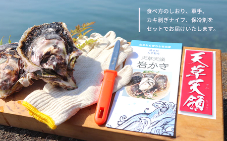 福島水産の天草天領岩かき 約5kg |  牡蠣 岩牡蠣 カキ 牡蠣 岩牡蠣 カキ 牡蠣 岩牡蠣 カキ 牡蠣 岩牡蠣 カキ 牡蠣 岩牡蠣 カキ 牡蠣 岩牡蠣 カキ 牡蠣 岩牡蠣 カキ 牡蠣 岩牡蠣 カキ