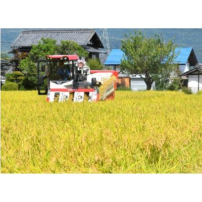 ふるさと納税 池田町 長野県産コシヒカリ10kg(精米) |  | 02