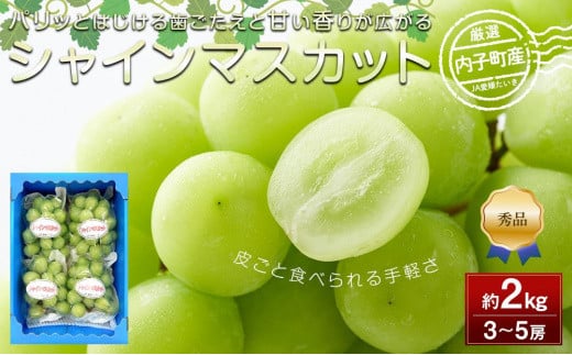 内子町産 シャインマスカット 青秀以上 3～5房 約2kg ＜2026年8月下旬～発送開始＞【シャインマスカット 大人気 愛媛県 シャインマスカット 美味しいシャインマスカット 人気 シャインマスカット 皮ごとシャインマスカット シャインマスカット 葡萄 シャインマスカット ブドウ 愛媛県産 新鮮 シャインマスカット 旬 フルーツ 果物 くだもの】