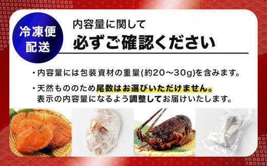 天然ほんまもん！ウチワエビ(小) 1000g(12~14尾前後) 国産 東洋町産 天然 新鮮 海鮮 刺身 焼き ボイル 四国 お取り寄せ お祝い 記念日 贈り物 送料無料 S244