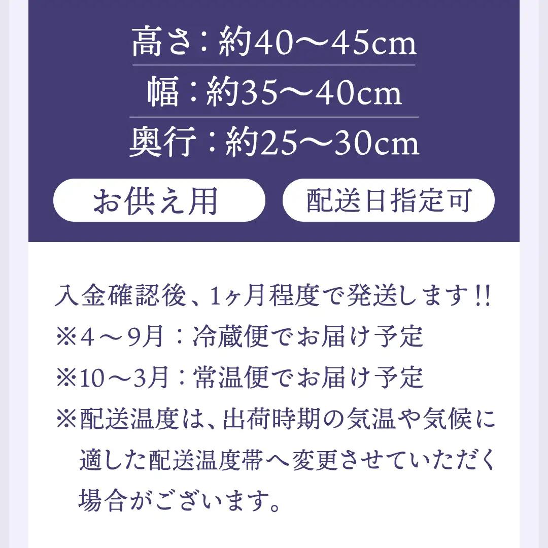 【配送日指定可】 季節の お供え用 アレンジメント フラワー 仏花 お盆 お供え お悔やみ 仏事 法事 命日 お盆 秋彼岸 春彼岸 正月 生花 フラワーアレンジメント [CY009sa]