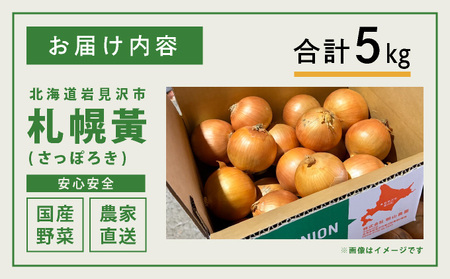 【先行予約】幻の玉ねぎ！札幌黄（さっぽろき）5kg [a168-010] たまねぎ 玉葱 タマネギ 国産 まとめ買い 業務用 贈り物 野菜 美味しい 送料無料 新鮮野菜 健康 和食 レストラン 国産野