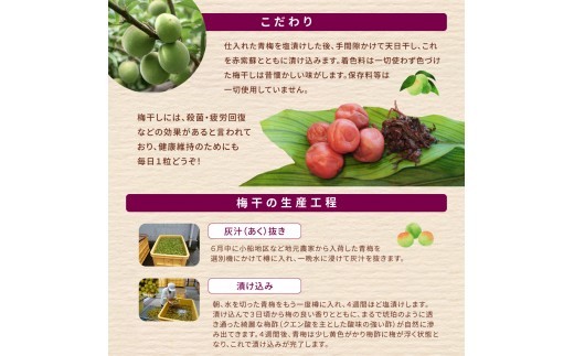 【 梅干し 小分け 】 お土産にピッタリ♪ 梅干し 無添加 南高梅 小分けタイプ 昔ながらのすっぱい しそ漬け梅干し 500g (100g×5P) 梅干し 梅干 梅 うめ ウメ しそ梅干し しそ梅 人
