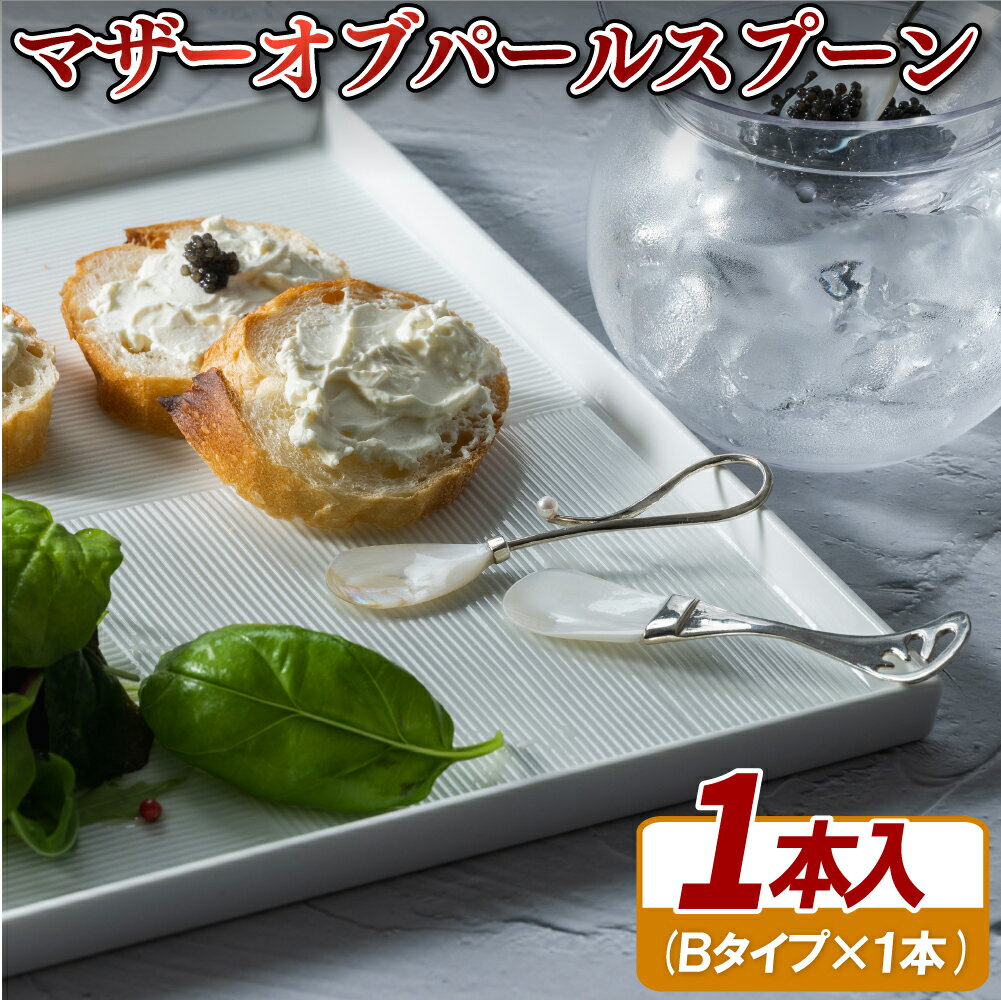 【ふるさと納税】マザーオブパールスプーンB(1本) 55000円