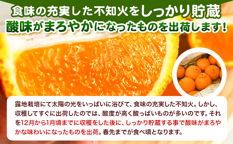 露地栽培の甘い 不知火 (デコ) 6玉 約1.5kg きよ農園《2025年2月中旬-3月末頃出荷(土日祝除く)》和歌山県 日高町 柑橘 不知火 しらぬい デコポン と同品種 フルーツ 果物 スイーツく