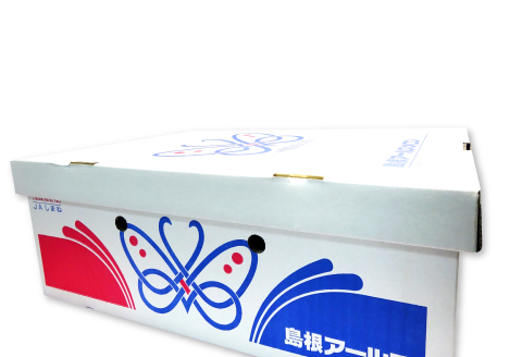 B-927 益田産アールスメロン 夏作 3~5玉