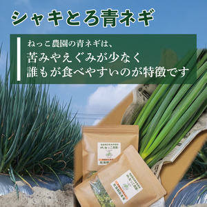 【 シャキとろ 青ネギ 】 4kg 順次発送 ねぎ