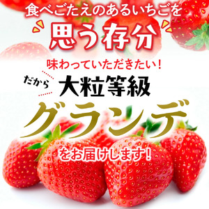 MZ058 福岡県産 あまおう 1080g　先行予約 2025年1月～3月末にかけて順次発送予定