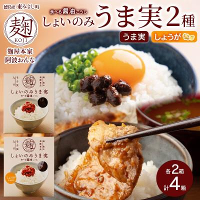 ふるさと納税 東みよし町 しょいのみ 2種セット うま実 しょうが味 各2箱 計4箱 発酵食品 徳島県 東みよし町