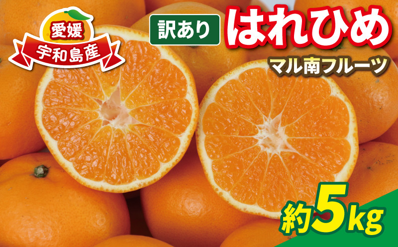 
                  訳あり はれひめ 5kg 先行予約 マル南フルーツ 瀬戸の晴れ姫 晴れ姫 サイズ 不揃い 高級 希少 品種 わけあり 愛媛みかん 愛媛ミカン 愛媛蜜柑 訳ありみかん mikan 果物 くだもの フルーツ 柑橘 みかん 蜜柑 産地直送 数量限定 国産 愛媛 宇和島 B012-106002
                