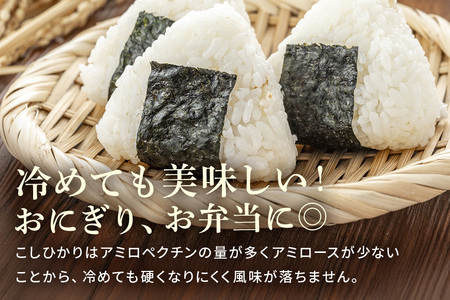 令和7年産新米 白米 5kg 栽培期間中できるだけ農薬を減らした＜ こしひかり＞ 茨城県産 米 お米 コメ ご飯 コシヒカリ 食味豊か 甘み 旨み 冷めても 美味しい お弁当 向け 食卓常備 産地直送