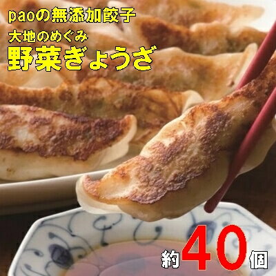 【ふるさと納税】paoの無添加餃子「大地のめぐみ 野菜ぎょうざ」840g(約40個) 餃子 ギョーザ 惣菜 冷凍 中華 点心 おかず おつまみ 国産野菜 058007