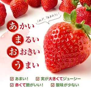 【先行予約】【アフター保証】 「博多あまおう」約250g×2パック【2月上旬～3月発送】【JAほたるの里】_HA1937 ふるさと 納税 果物 フルーツ 甘い イチゴ 苺 あまおう デザート 旬 手土