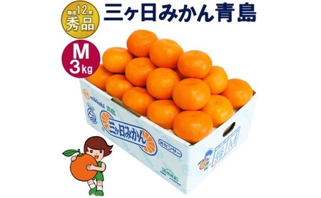 三ケ日みかん 青島【秀品】Mサイズ3kg(27個前後) ミカン 果物 くだもの フルーツ 甘い 果物類 柑橘類 静岡 浜松市【配送不可：北海道・沖縄・離島】