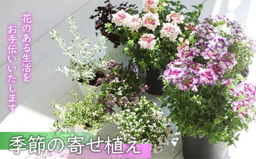 
花のある暮らしで心もハッピー。季節の寄せ植え　【11218-0060】
