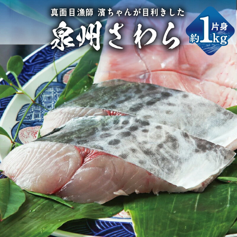 【ふるさと納税】泉州 鰆 片身 約 1kg 鮮度抜群 大ぶり 極肉厚 脂とろり 大阪湾 国産 急速冷凍 冷凍 鮮魚 魚介 魚 海産物 海の幸 塩焼き 焼き魚 おかず お弁当 お取り寄せ お取り寄せグルメ 泉佐野市 送料無料