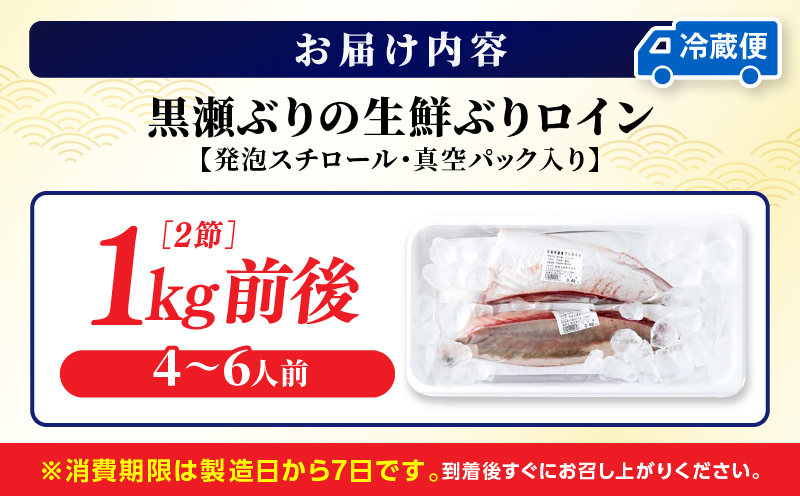 ＜2026年6月発送分＞活じめ！黒瀬ぶりの生鮮ブリロイン2節（1.0kg前後）_K001-012-2606