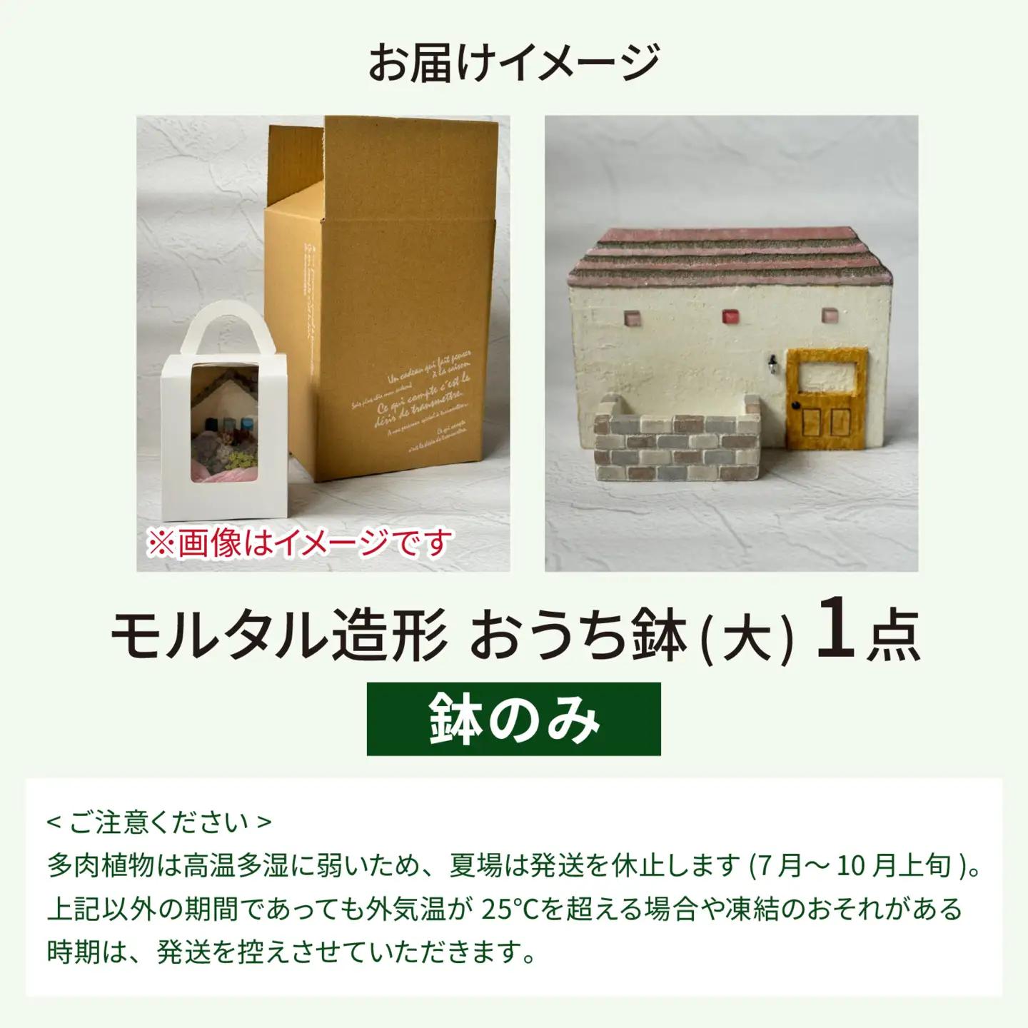 モルタル造形おうち鉢(大) [A-078003]
