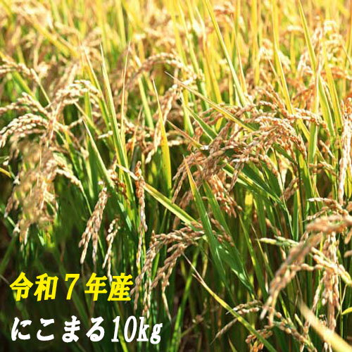 【ふるさと納税】120004-7【令和7年産】にこまる10kg