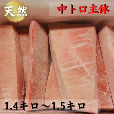 ふるさと納税 三浦市 【中トロ主体で1キロ以上】三崎の天然目鉢まぐろ(1.4〜1.5kg)