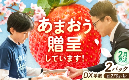 【2月発送】あまおうDX等級 1ケース（約270g×2パック） 広川町 / JAふくおか八女農産物直売所どろや [AFAB106]