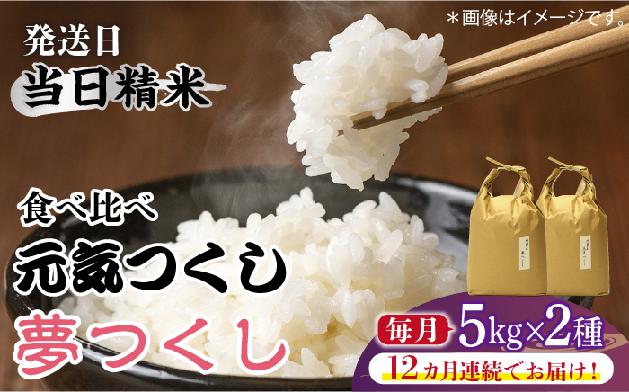 
            【先行予約】【全12回定期便】福岡県産【特A米】元気つくし【A米】夢つくしの食べ比べ 各5kg×2袋 [10kg] [白米]【2024年11月下旬以降順次発送】《築上町》【株式会社ベネフィス】 [ABDF126] 精米 米 ご飯 ごはん こめ コメ 268000円 
          