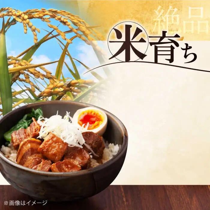 【全2回定期便】平田牧場 肩ロース ブロック 600g 豚肉 煮豚 [AJAP110]