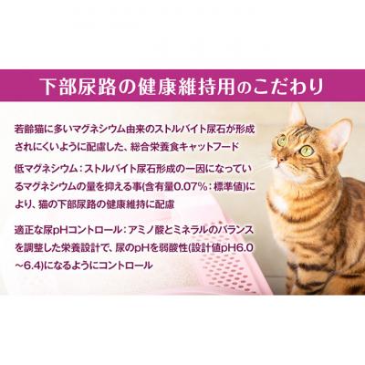 ふるさと納税 伊丹市 銀のスプーン三ツ星グルメ香るお魚仕立て下部尿路健康1歳〜10歳頃までのお魚レシピ[54030337] |  | 02