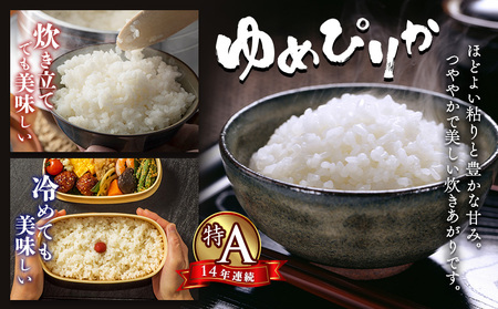 【令和7年度産】ゆめぴりか精米 (10kg)【1101306】