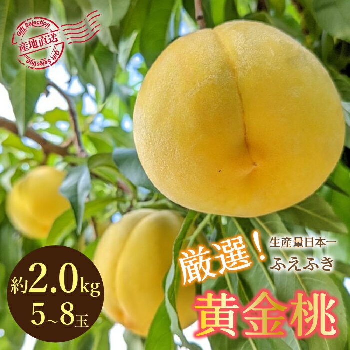 【ふるさと納税】＜25年発送先行予約＞厳選！山梨県笛吹市産 黄金桃 約2kg (5〜8玉) ふるさと納税 笛吹市 国産 人気 期間限定 旬 果物 フルーツ 山梨県 送料無料 156-012