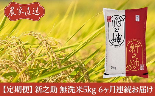 J8-7MS056A【6ヶ月連続お届け】新潟県長岡産　新之助　無洗米5kg