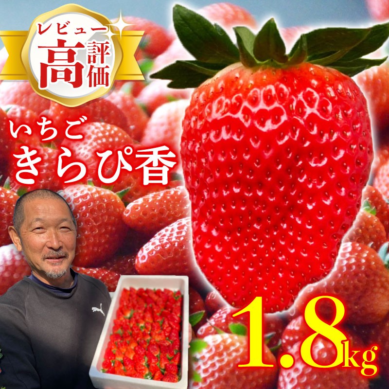 
                  【先行予約】 完熟 いちご 鈴木農園の朝摘み きらぴ香 1.8kg 900 g × 2 パック 訳あり デザート フルーツ イチゴ 苺 果物 ストロベリー 甘い  朝摘み 朝採れ 果物 いちご くだもの スイーツ デザート ストロベリー おやつ 完熟 直送 予約 ギフト 贈答 贈り物 お祝い 誕生日 旬 新鮮 国産 ベリー 産地直送 国産 ワケアリ おすすめ 送料無料 静岡県 牧之原市 鈴木農園
                