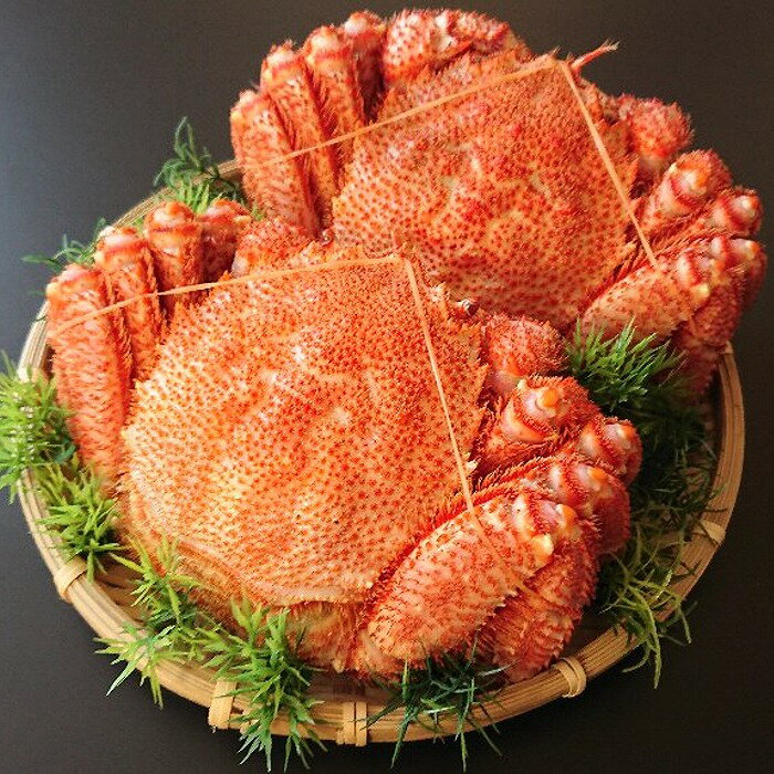 【ふるさと納税】 浜ゆで 毛がに 350g 前後 × 2 尾 毛ガニ 毛蟹 けがに ケガニ かに カニ 蟹 お取り寄せ グルメ 海鮮 ボイル 茹で蟹 茹でがに 茹でガニ 浜茹で 北海道 根室市 ふるさと納税 A-21001