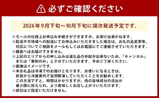 イチジク （とよみつひめ） 約300g×4パック （計約1.2kg） 【2026年9月下旬～10月下旬発送予定】 いちじく フルーツ 果物 くだもの 冷蔵 福岡県 うきは市